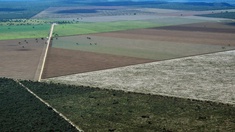 Ökosysteme wie die Cerrado-Savanne in Brasilien werden durch die globale Agrarindustrie bedroht.