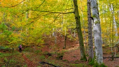 Wandern im Nationalpark Kalkalpen