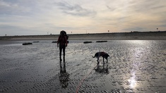 Climate Walk, Norddeutschland