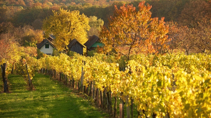 Herbststimmung am Csaterberg