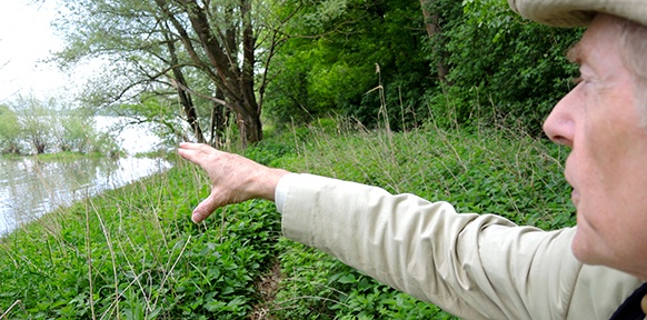 Bernd Lötsch