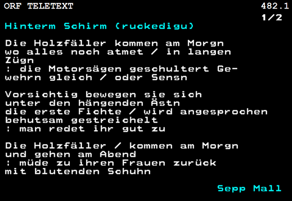 Screenshot des Gedichts "Hinterm Schirm (ruckedigu)"