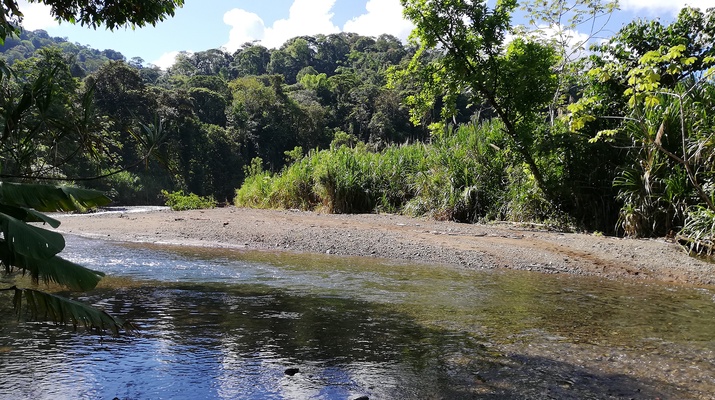 Rio Bonito im Nationalpark Piedras Blancas