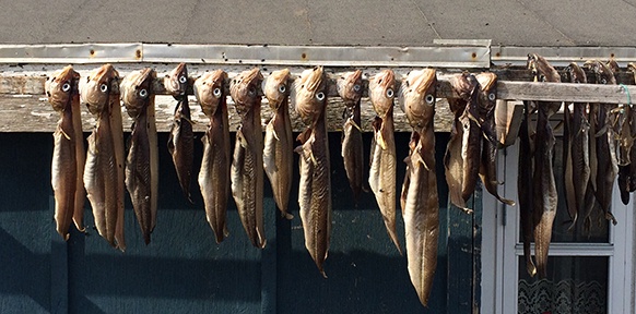 Trockenfische