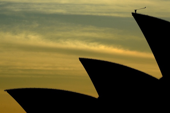 Dachsilhouette