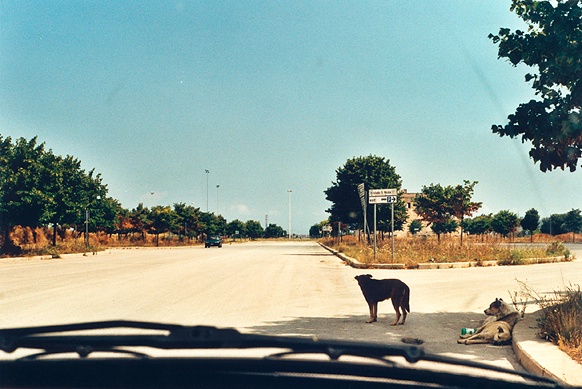 Josef Dabernig, Panorama (Jogging), 1999,