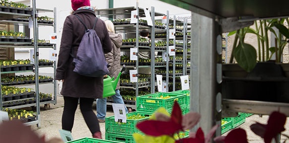 Besucher zwischen Pflanzenkisten