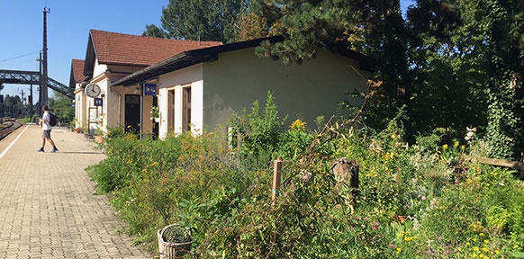 ORF/MARIE-CLAIRE MESSINGER Garten neben Bahnsteig