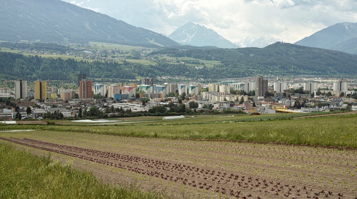 Das Olympische Dorf löste einen veritablen Hochhausboom aus. In unmittelbarer Nachbarschaft wird auch heute noch Gemüse angebaut.