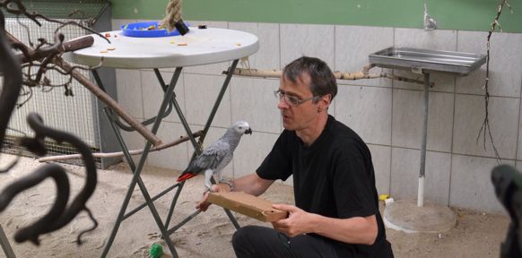 Martin Breindl mit Papagei und Kartonschachtel