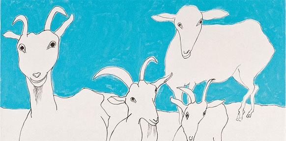 Bild von Oswald Oberhuber: 4 gezeichnete weiße Ziegen vor türkis-blauem Hintergrund