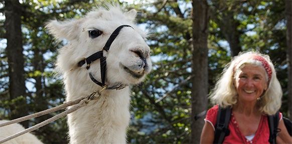 Frau mit Lama
