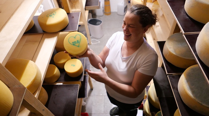 Käse auf der Planina Zajavornik