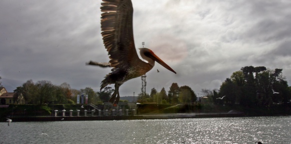 MARTIN BERNETTI / AFP / PICTUREDESK.COM Valdivia