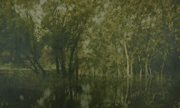 Hans Watzek, Aulandschaft, 1901, Mehrfarbiger Gummidruck, 40 × 59 cm