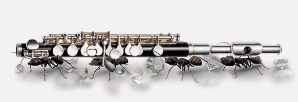 Ameisenklarinette