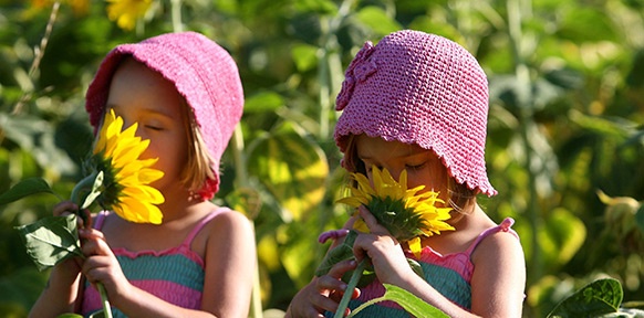Zwillingsschwestern riechen an Sonneblumen