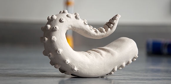 PRIVAT Tentacle Temptation
