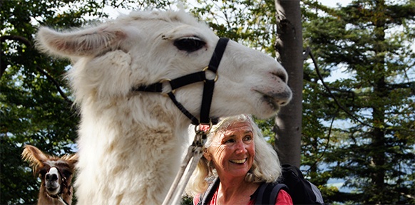 Frau mit Lama