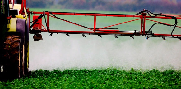 Ein Traktor verspritzt Pestizide