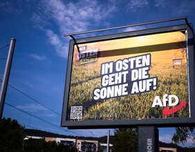 AfD-Wahlplakat