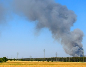 Eine hohe Rauchsäule steigt bei einem Waldbrand in St. Egyden am Steinfeld auf.