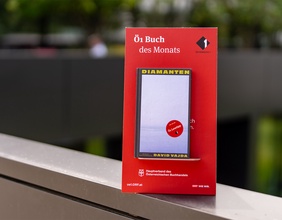 Buch des Monats: "Diamanten"