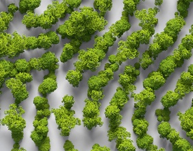 Ausschnitt des Covers, Modellbäumchen