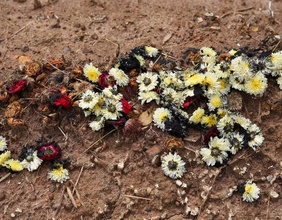 Verwelkte Blumen