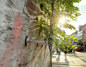 Wien setzt im Kampf gegen urbane Hitze auch auf begrünte Fassaden, die als natürliche Klimaanlagen wirken.