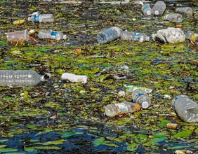 Schwimmender Plastikmüll