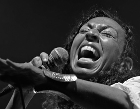 Heidi Vogel, Inntöne