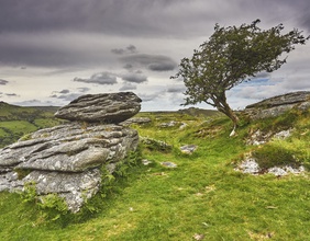 Landschaft in Dartmoor
