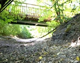 Ausgetrocknete untere Lobau