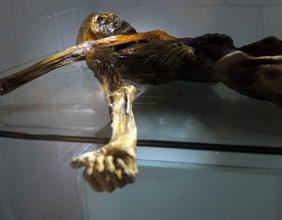 "Ötzi" in der Kältekammer