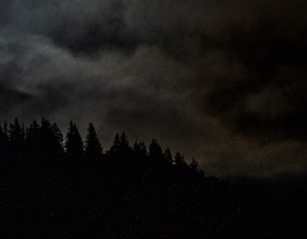 Ein Wald in der Nacht