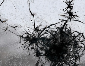 Beschädigtes, kugelsicheres Glas