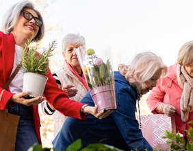 Eine Gruppe von älteren befreundeten Damen kaufen Blumen