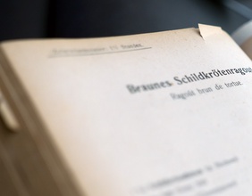 Alte Kochbuch mit Schildkrötenragout-Rezept
