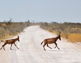 Namibia, Nationalpark