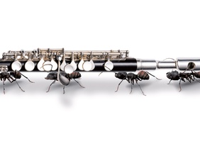 Ameisen mit Klarinette