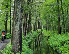 Radfahrer, Spreewald