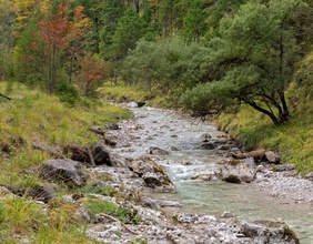 Herbststimmung im Nationalpark Kalkaplen