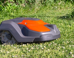 Bild: Rasenmähroboter auf einer Wiese