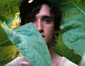 Junger Mann zwischen großen grünen Blättern