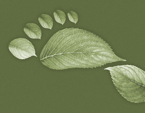 Fußabdruck in Form von Blättern