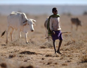 Ein junger Bub in Kenia 