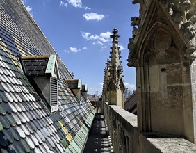 Dach des Stephansdom