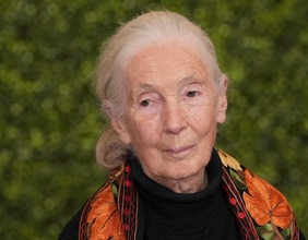 Jane Goodall