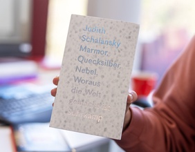 Judith Schalansky: "Marmor, Quecksilber, Nebel."